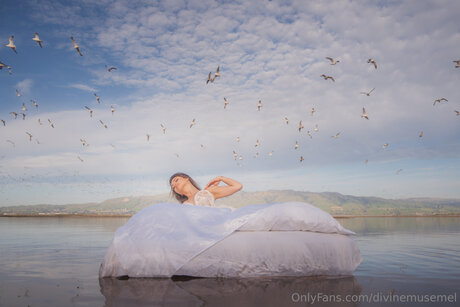 Divinemusemel kunst hübsche foto