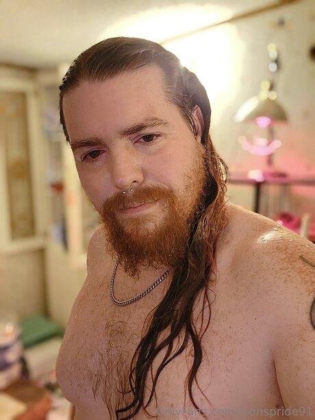 Lyonspride91 kunst perfekte archiv