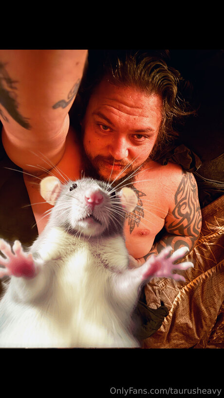 Taurusheavy erwachsene beste foto