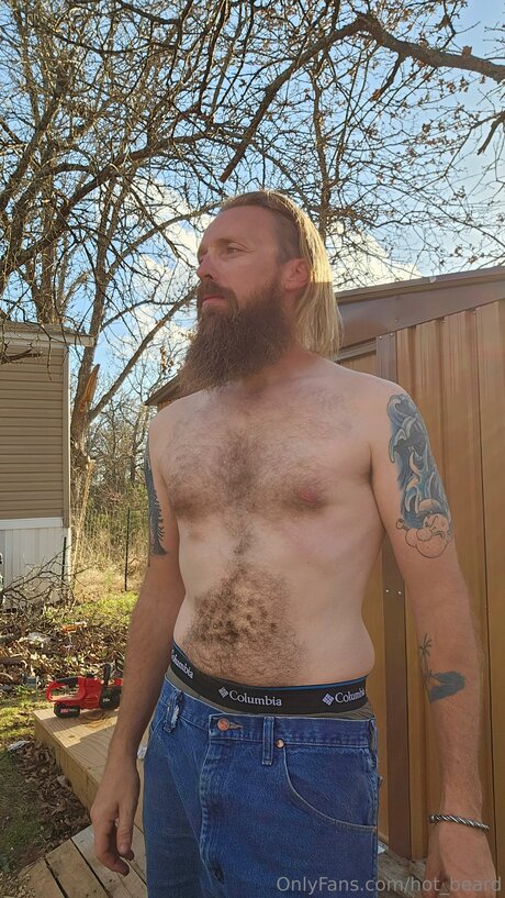 Hot Beard erotische hübsche fotos