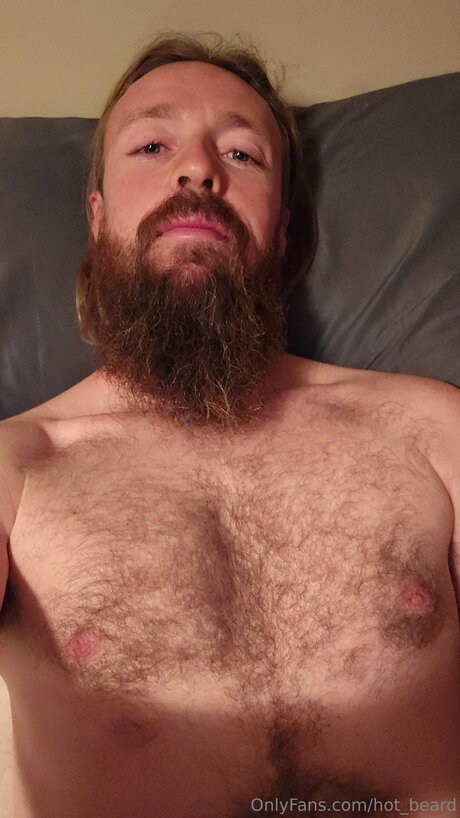 Hot Beard heiße top bilder