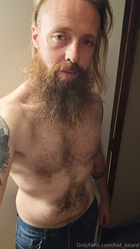 Hot Beard porno kunst bild