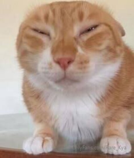 Rare Kya beste erwachsene bild