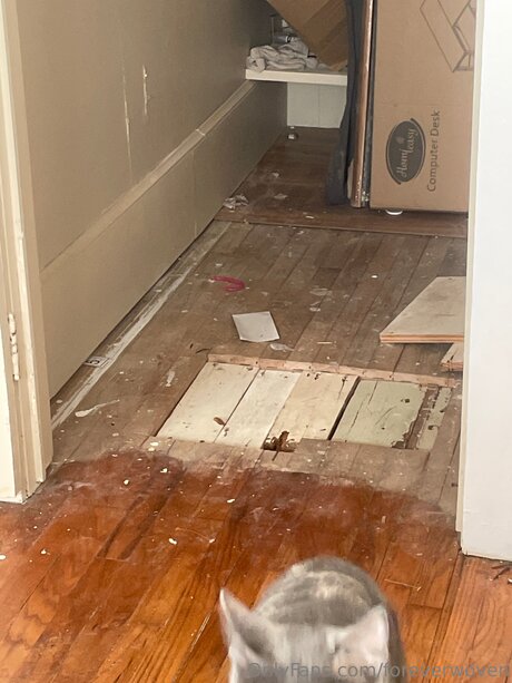 Foreverwoven schöne pornostar fotos