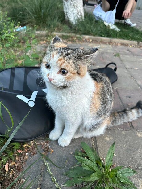 Konekazuwu hübsche erotische bilder