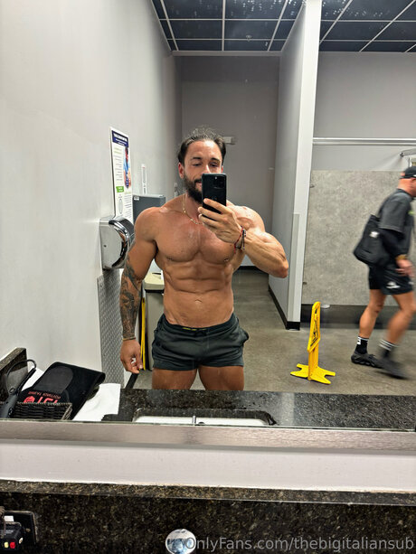 Thebigitaliansub hübsche kunst galerie