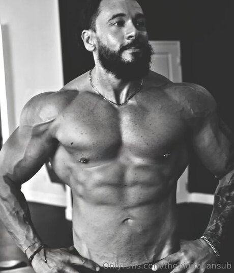 Thebigitaliansub perfekte pornografische galerien