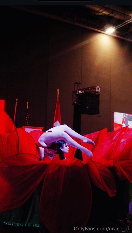 Grace Ab pornostar top galerien