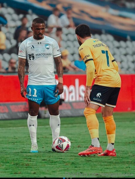 Douglascosta erwachsene schöne galerie