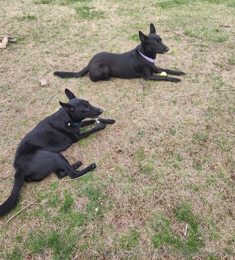 Kirstenkrawford beste nacktheit archiv