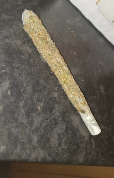 Aurora Indica hübsche porno galerie