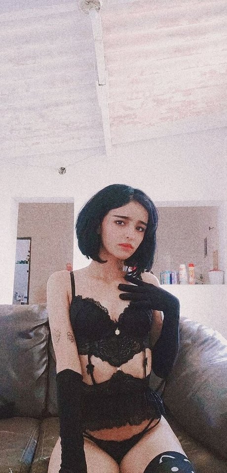 Loolizinhareal exklusive kunst galerien