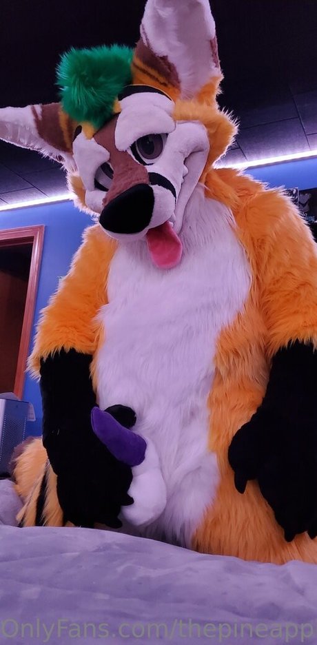 thepineapplefox hübsche sex galerien