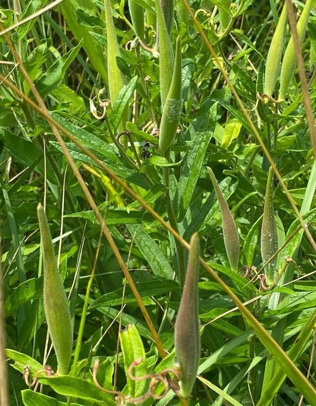 zehen-onlyfans kostenlose hd galerien