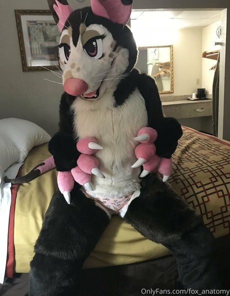 bbw-zwerg nur fans hd schöne bild