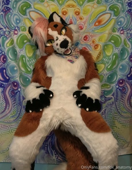 fox anatomy beste sex bilder