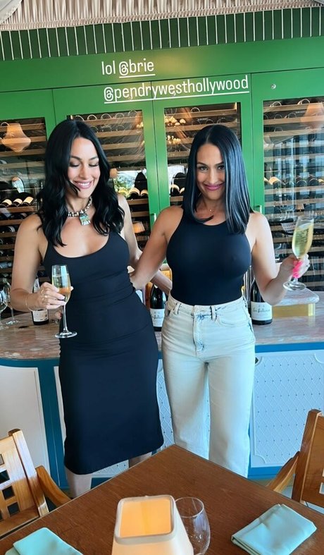 Nikki Bella kunst nackt galerien