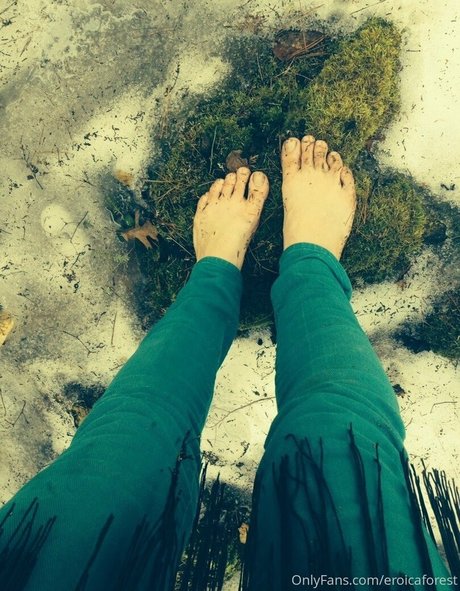 kahle muschi nur fans erotische akt archiv