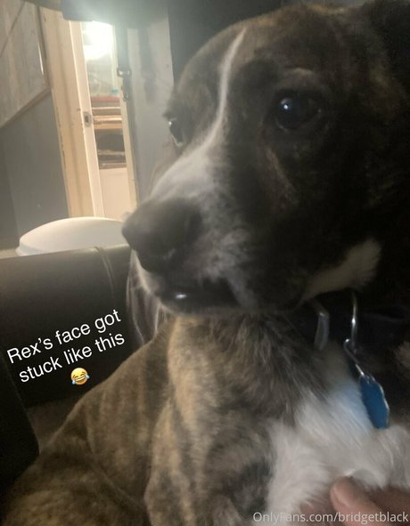 bridgetblack sexy nacktheit fotos