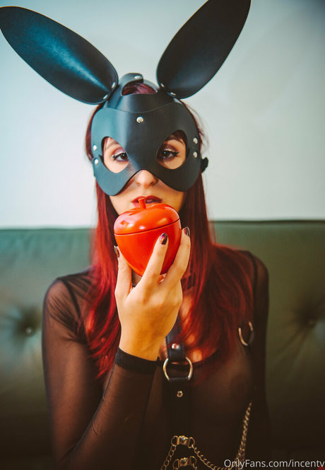 incentv beste perfekte fotos