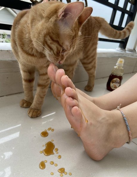 feetbecks schöne sex bild