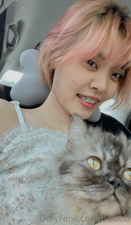 bibbob top nette foto