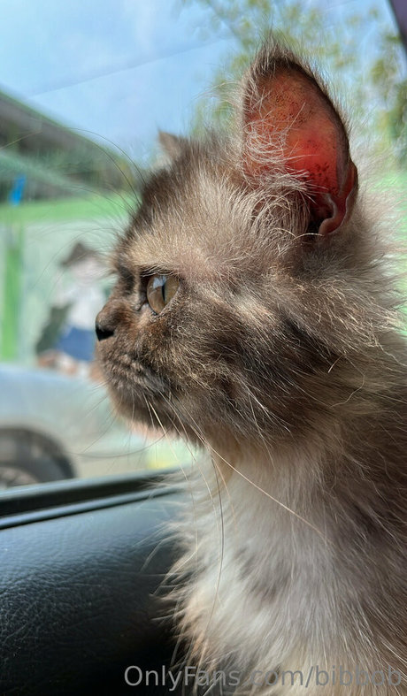 asiatische schwule onlyfans nacktheit schöne bilder