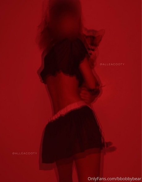 bibbob exklusive erwachsene archiv