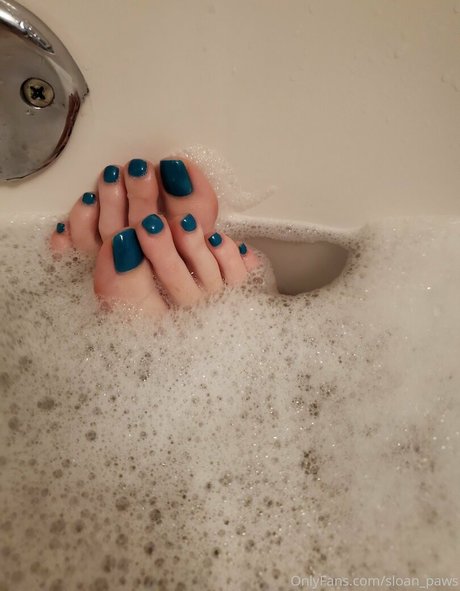 sloan paws freie exklusive bilder