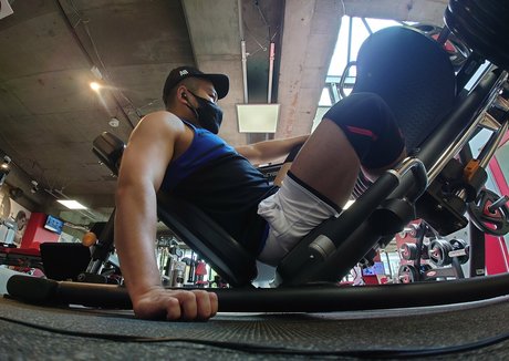 largedogcollar beste perfekte archiv