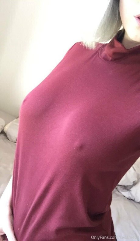 sesameoil heiße schöne bild