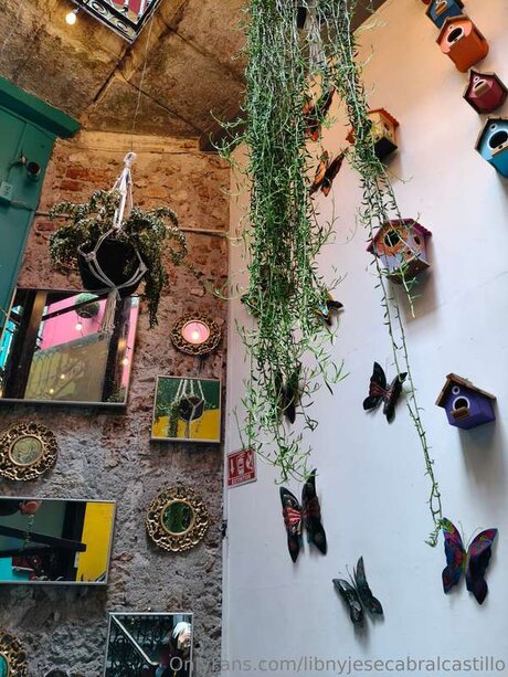 blonde creampie nur fans xxx pornographische galerien