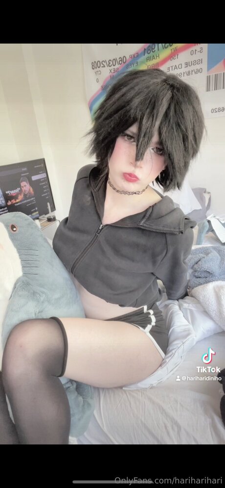 Hariharihari perfekte kostenlose galerie