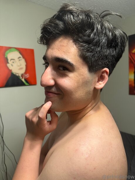 Princecsart kunst beste bilder