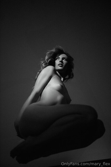 Mary Flex kunst porno galerie