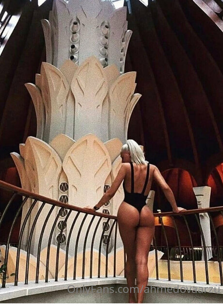 Miamiha perfekte beste bild