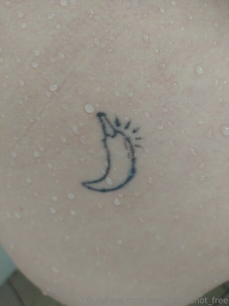 Pam Tatooshot Free pornostar top fotos