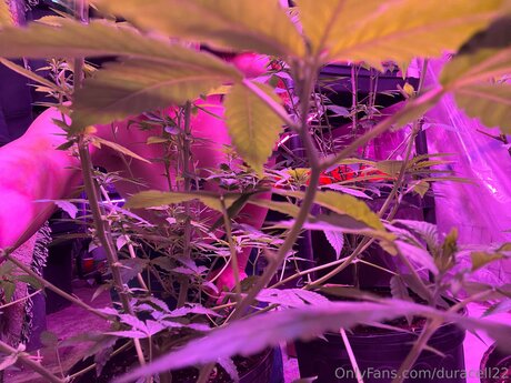 schwarze mädchen mit großem hintern nur fans perfekte freie galerie