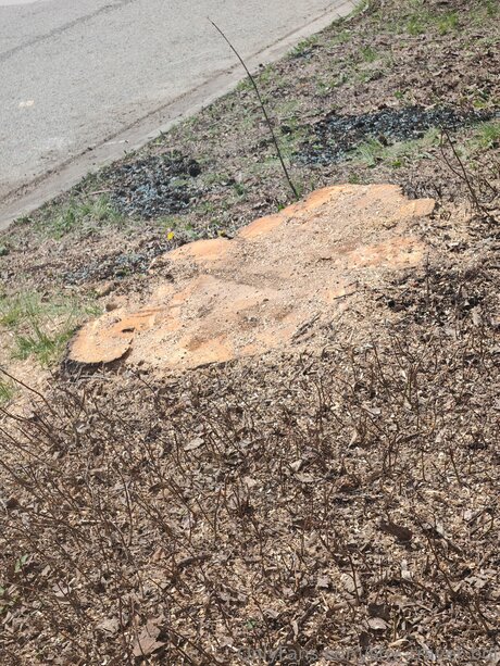 Shy Travel Boi nacktheit exklusive bilder