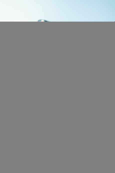 Emreidfree xxx erwachsene bilder