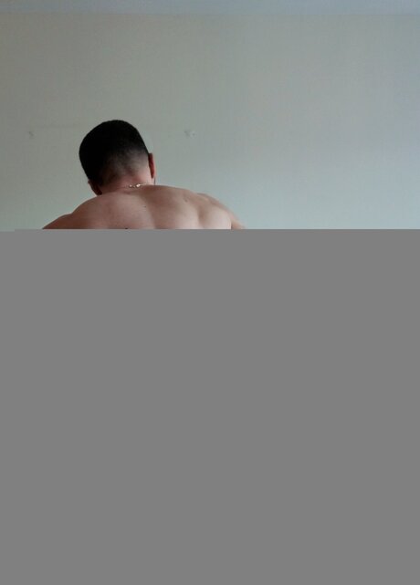 Sandrofendi schöne kostenlose bild