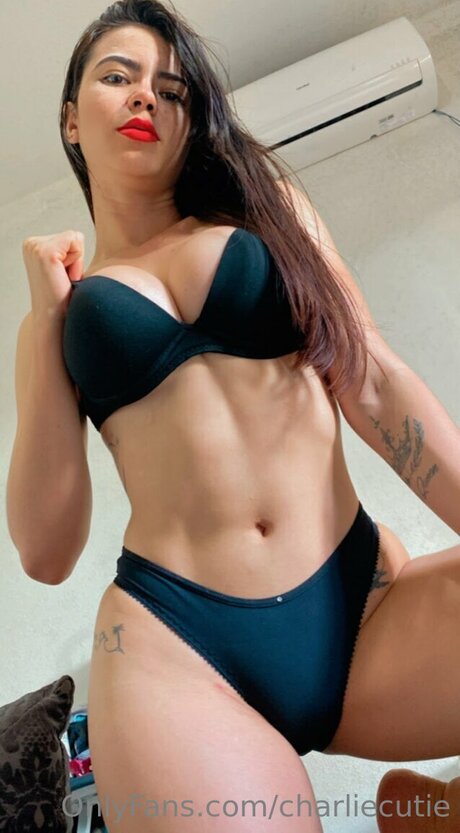 Charliecutie exklusive schöne galerien
