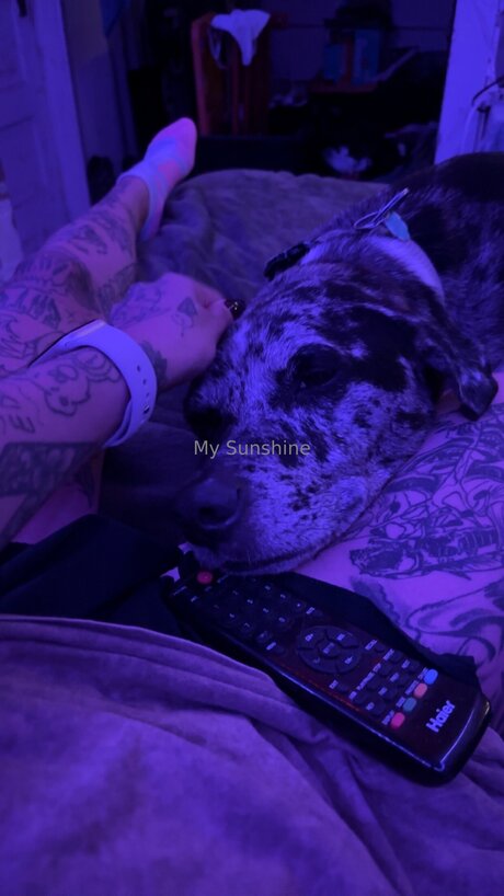 Lovebug911 beste akt bild