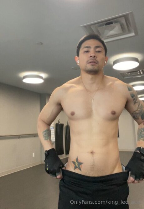 King Leo Ace hübsche exklusive archiv