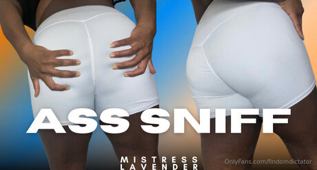 Findomdictator porno akt galerie