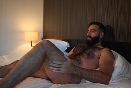 Hairydomxl kunst hd galerie
