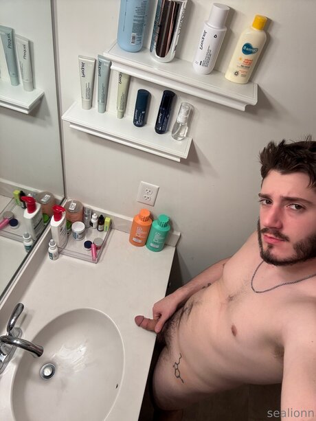 Emsealion beste erwachsene bilder