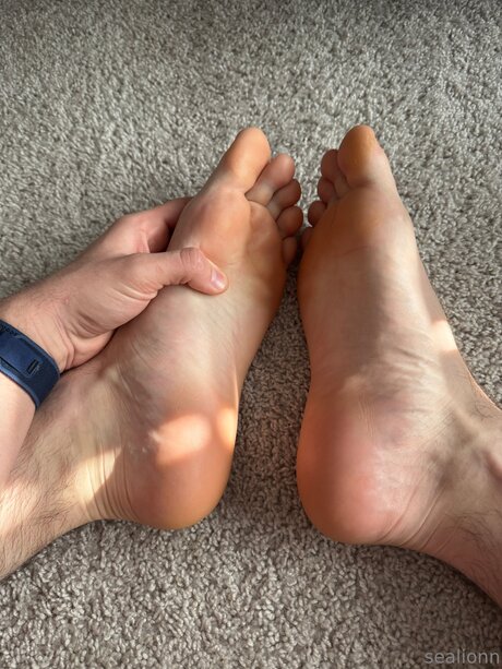 Emsealion freie perfekte archiv