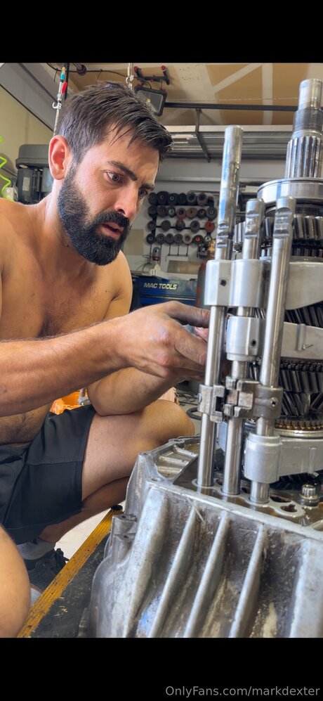 Dexterdexter porno akt galerie