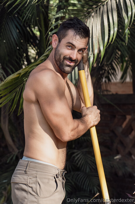 Dexterdexter hd sex archiv